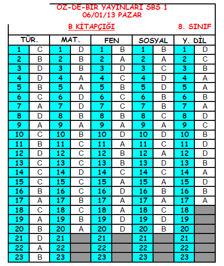 2013 Özdebir 8.Sınıf 1. Seviye Belirleme (SBS 8-D/I ) Cevap Anahtarı 3