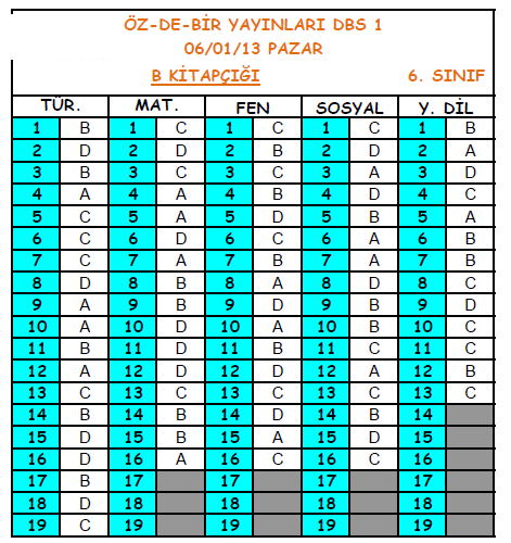 2013 Özdebir 8.Sınıf 1. Seviye Belirleme (SBS 8-D/I ) Cevap Anahtarı 7