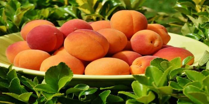 Kayısının şifa olduğu dertler