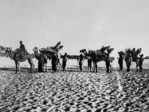 1. Dünya Savaşı'ndan ilk kez yayınlanan kareler