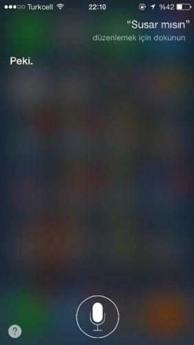 Türkçe Siri'den seçmeler... 17
