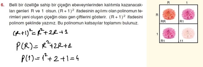 10. Sınıf Matematik Sayfa 134-137 Cevapları 6