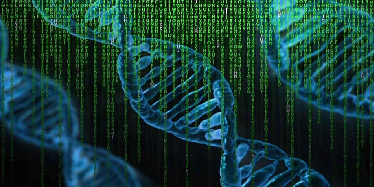Genetik ve Biyoinformatik uzmanı ne iş yapar