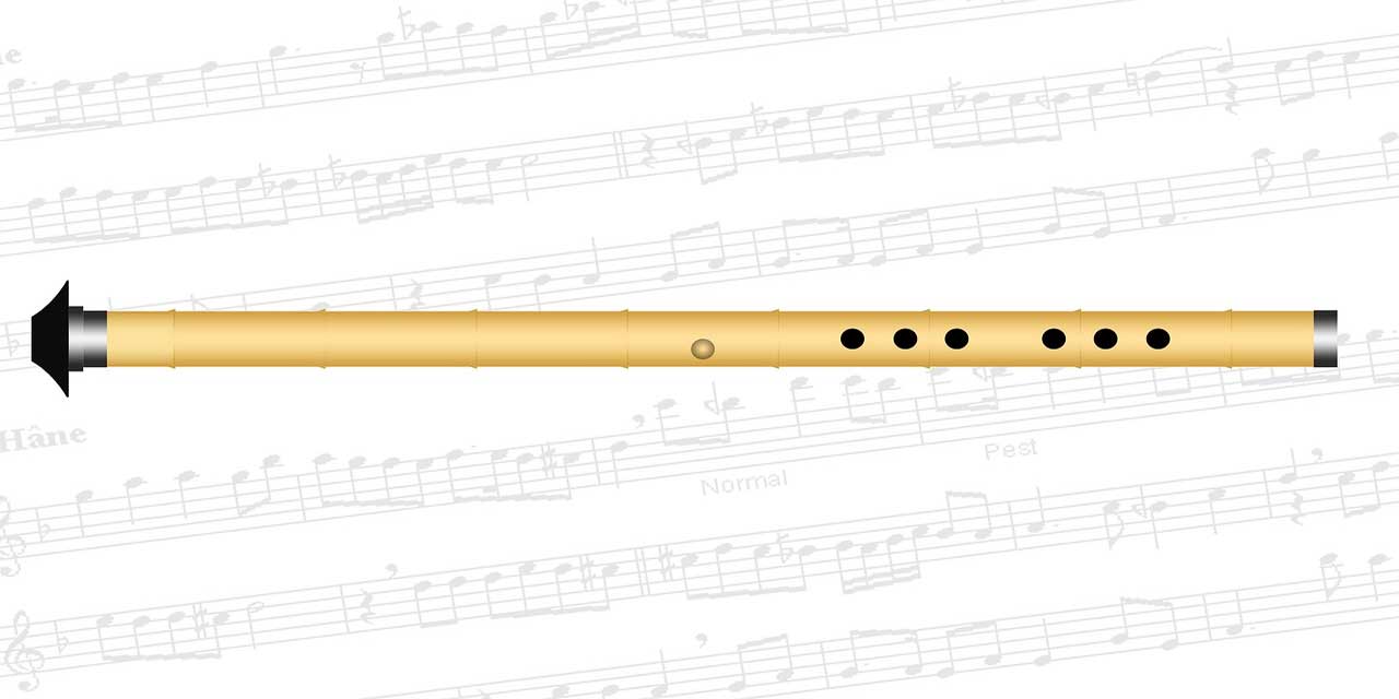 Müzik çalışmalarınızda bilişim teknolojilerinden ne şekilde yararlanıyorsunuz