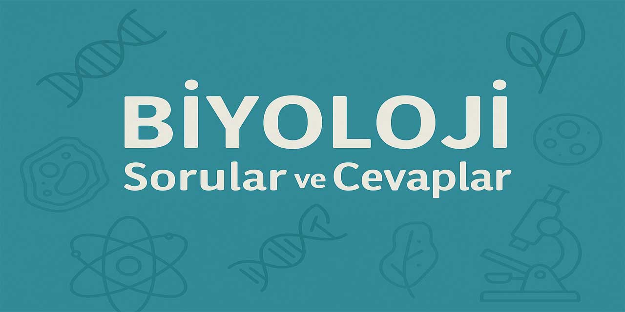 10. Sınıf Biyoloji Ders Kitabı Cevapları Meb Yayınları (2025-2026)