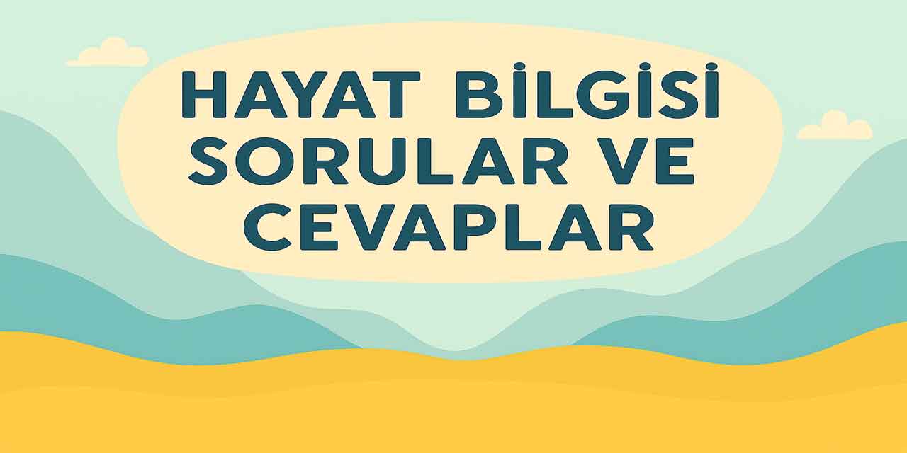 2. Sınıf Meb Hayat Bilgisi 1. Ders Kitabı Sayfa 100-101 Cevapları