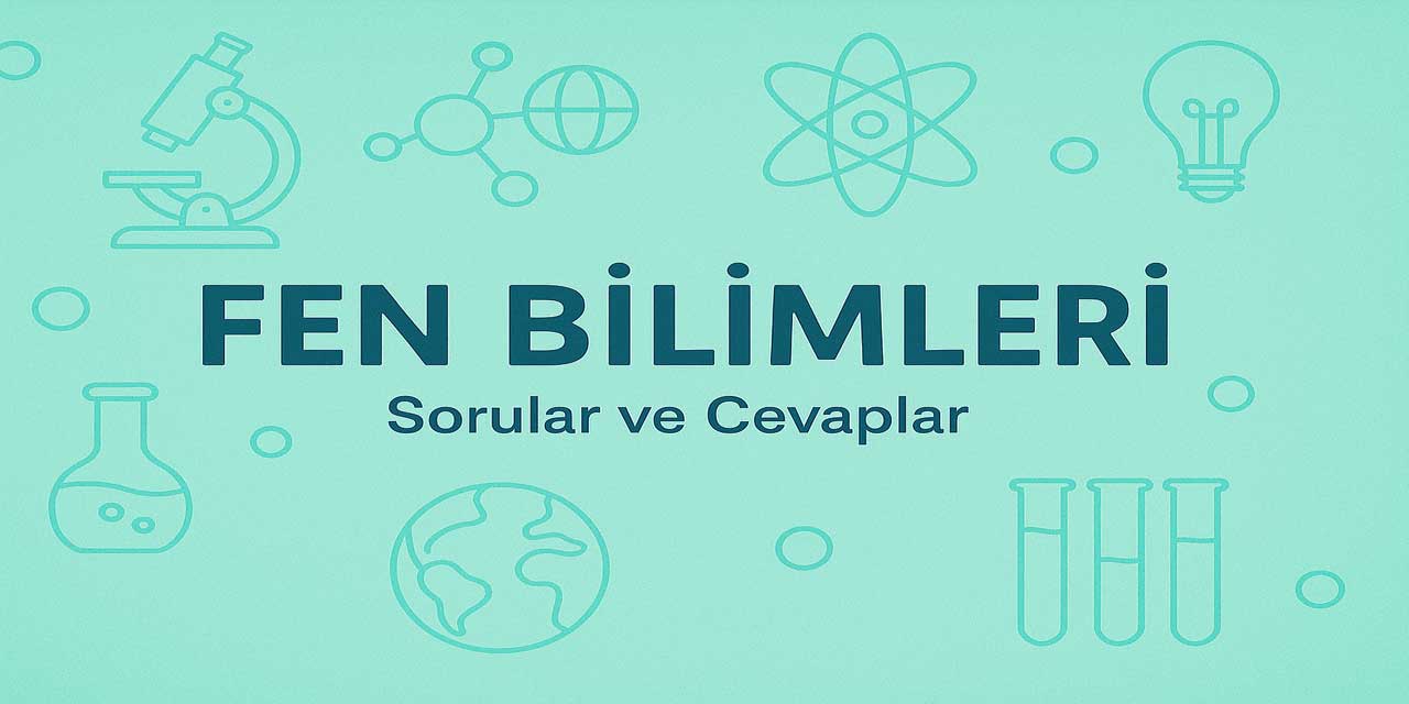 3. Sınıf Cem Fen Bilimleri Ders Kitabı Sayfa 125-139 Cevapları