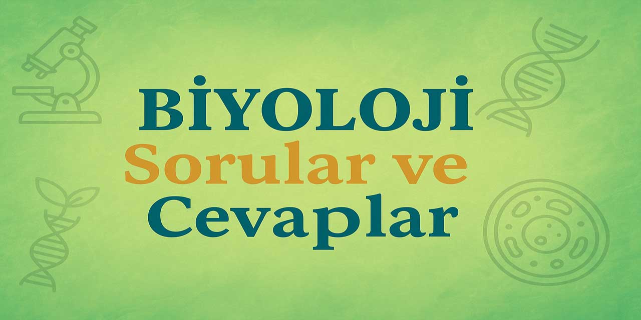 11. Sınıf Tutku Biyoloji Ders Kitabı Sayfa 125 Cevapları