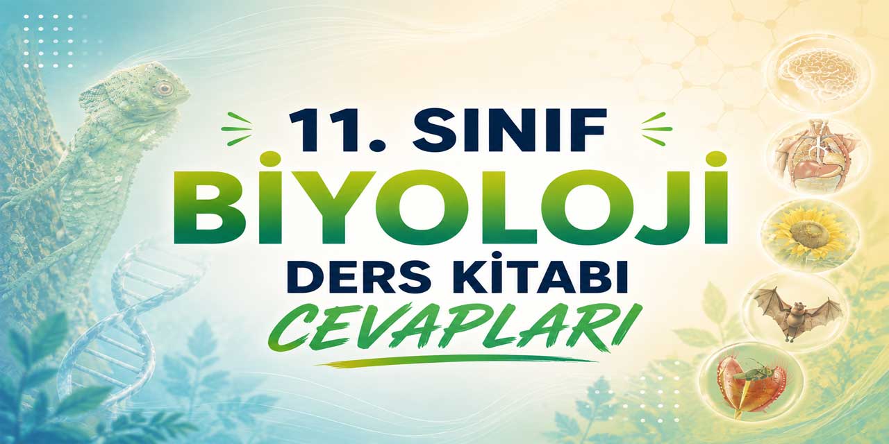 11. Sınıf Meb Biyoloji Ders Kitabı Cevapları 2026-2027