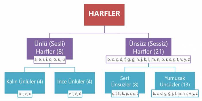 Alfabenin hangi harfi kaçıncı sırada