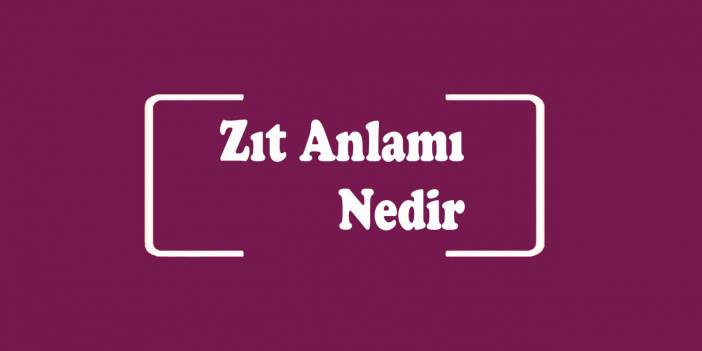 Bitiş, taze, dolu, kuzey, sık, çoğul ve ince kelimelerinin zıt anlamlısı nedir