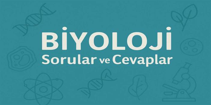 10. Sınıf Biyoloji Ders Kitabı Cevapları Meb Yayınları (2025-2026)