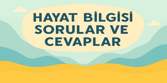 2. Sınıf Meb Hayat Bilgisi 1. Ders Kitabı Sayfa 15 Cevapları