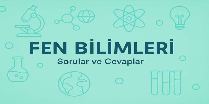 8. Sınıf Meb Fen Bilimleri Ders Kitabı Cevapları