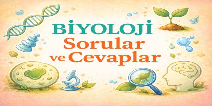 10. Sınıf Meb Biyoloji Ders Kitabı Sayfa 168 Cevapları