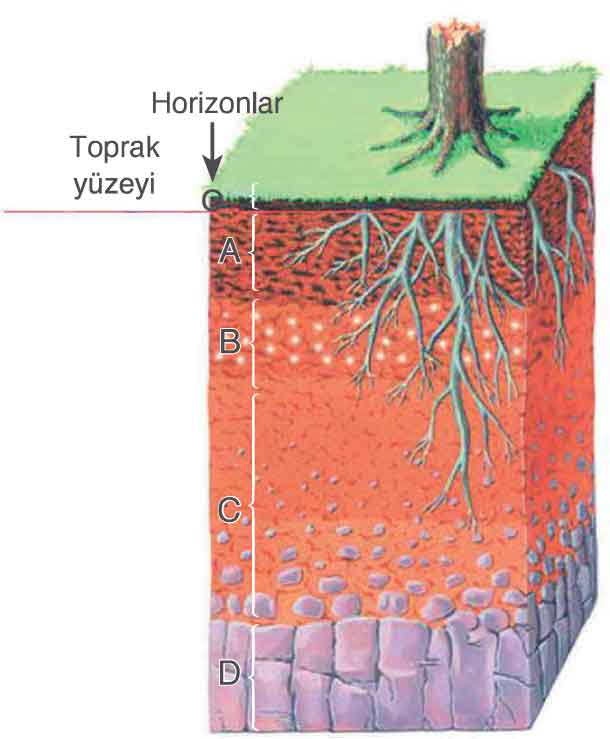 toprak-katmanlari.jpg