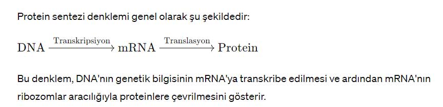 protein-sentezi-denklemi.jpg