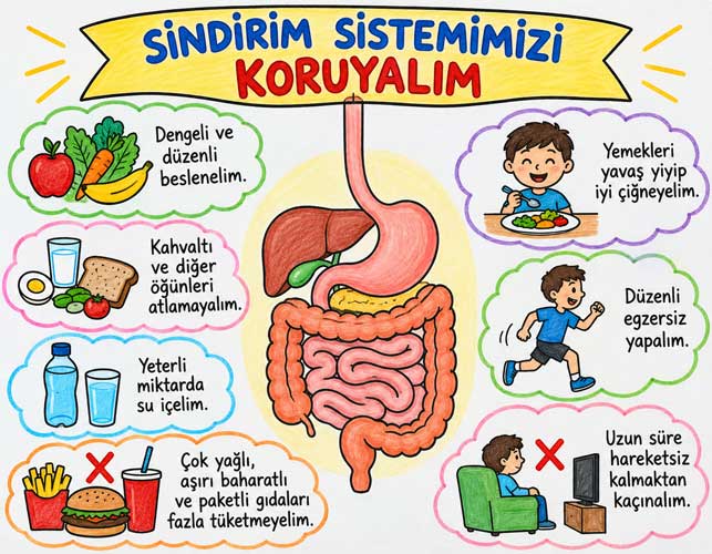 sindirim-sistemimizi-koruyalim.jpg