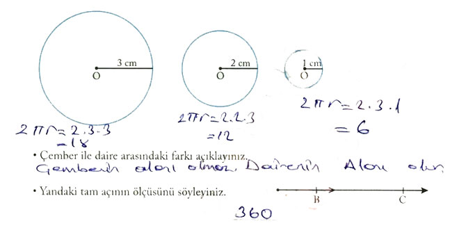 7.-sinif-ekoyay-matematik-sayfa-229.jpg